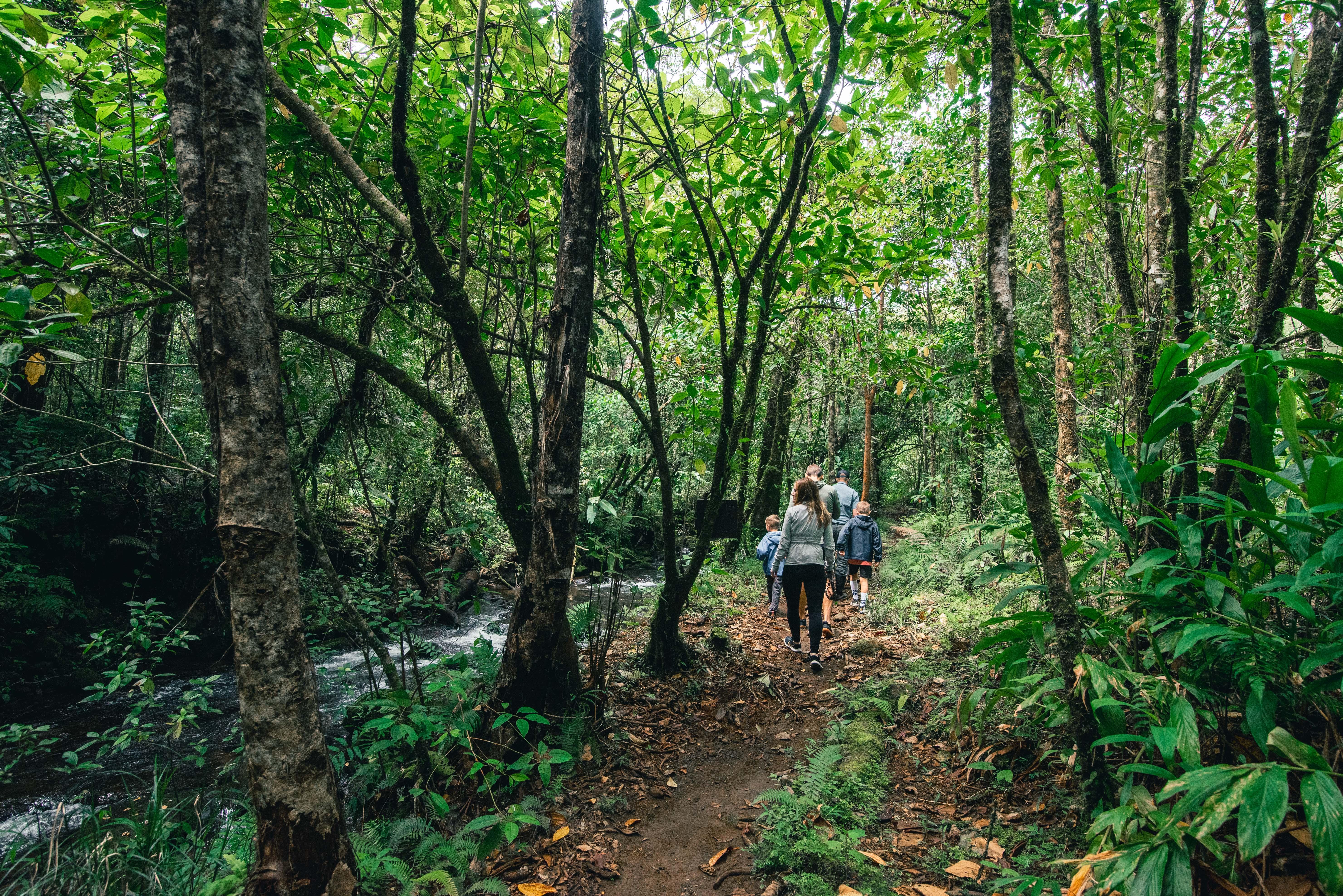 El Silencio Lodge & Spa Costa Rica Toro Amarillo المظهر الخارجي الصورة