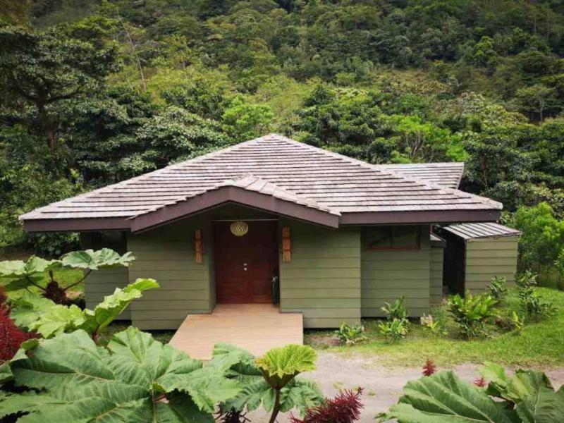 El Silencio Lodge & Spa Costa Rica Toro Amarillo الغرفة الصورة
